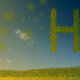 h2-fuel-cells